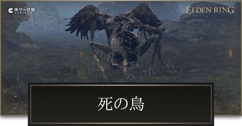 死鳥|【エルデンリング】死の鳥の攻略と出現場所【ELDEN RING】